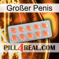 Großer Penis 26